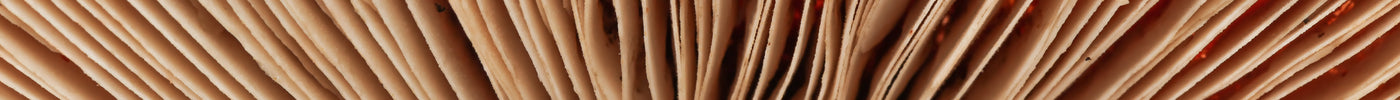 The Holistic Science of Cordyceps: Wellness from Nature