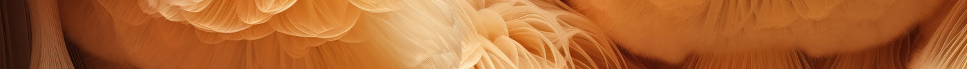Cordyceps and Immunity: Unveiling the Scientific Connection